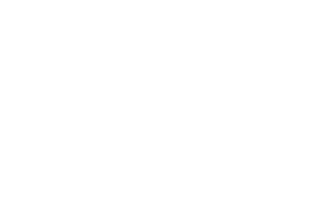 Vint Logo